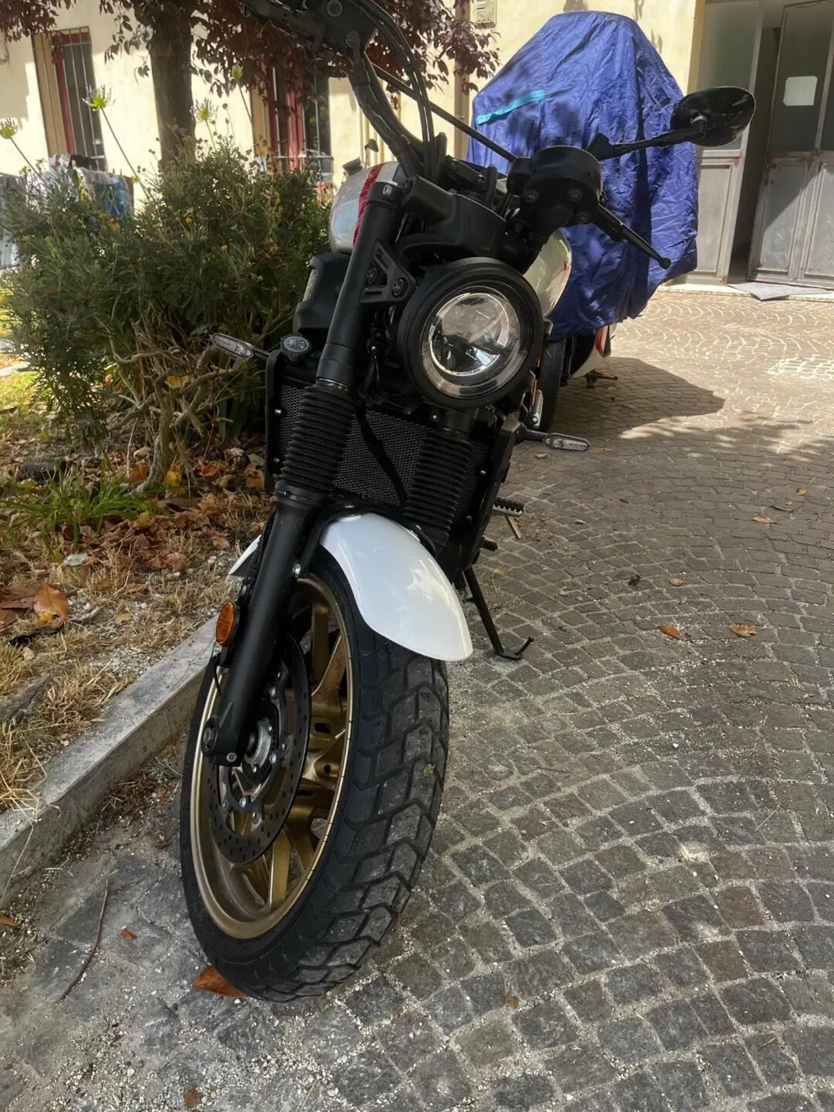 Yamaha XSR 700 XTribute (2022 - 24)