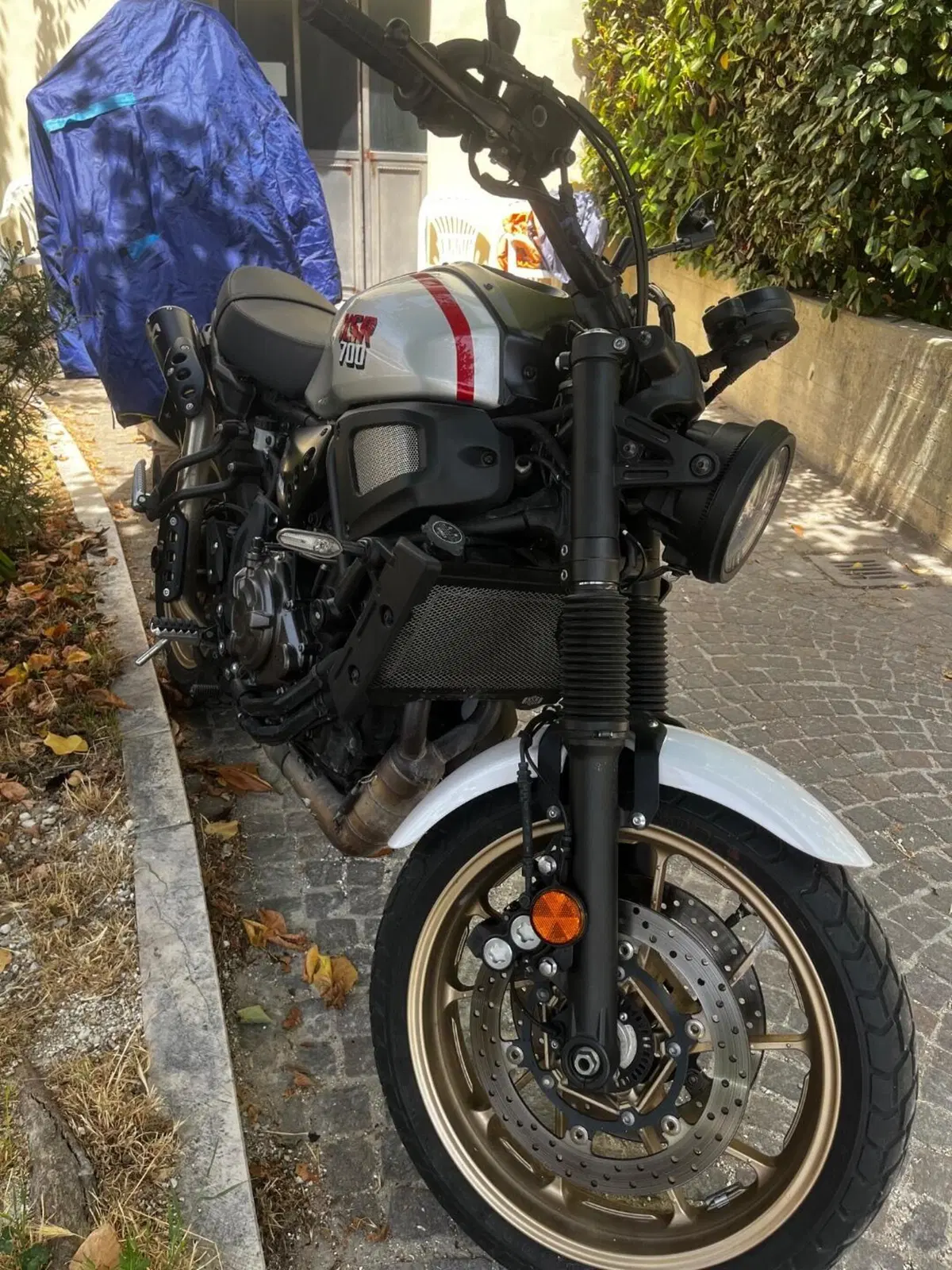 Yamaha XSR 700 XTribute (2022 - 24) (2)