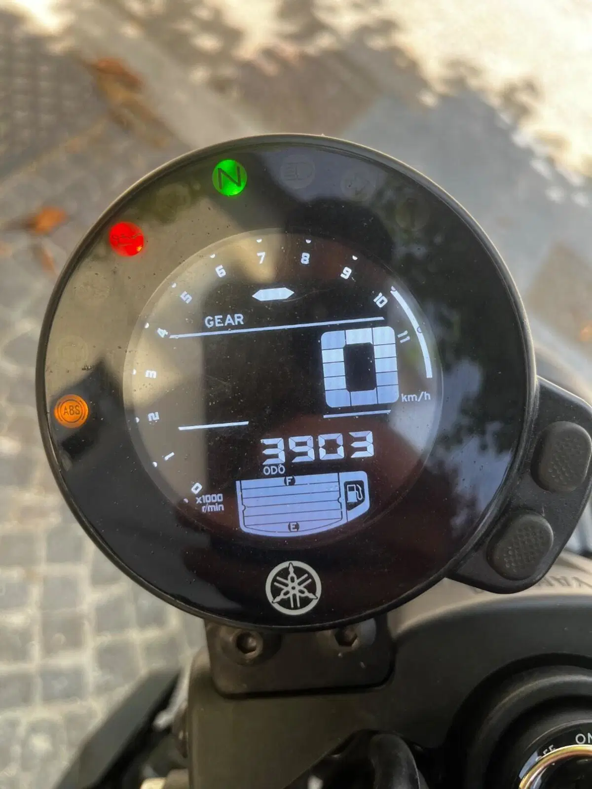 Yamaha XSR 700 XTribute (2022 - 24) (3)