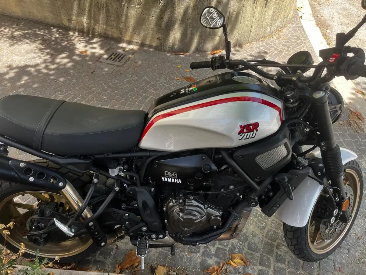 Yamaha XSR 700 XTribute (2022 - 24) (6)