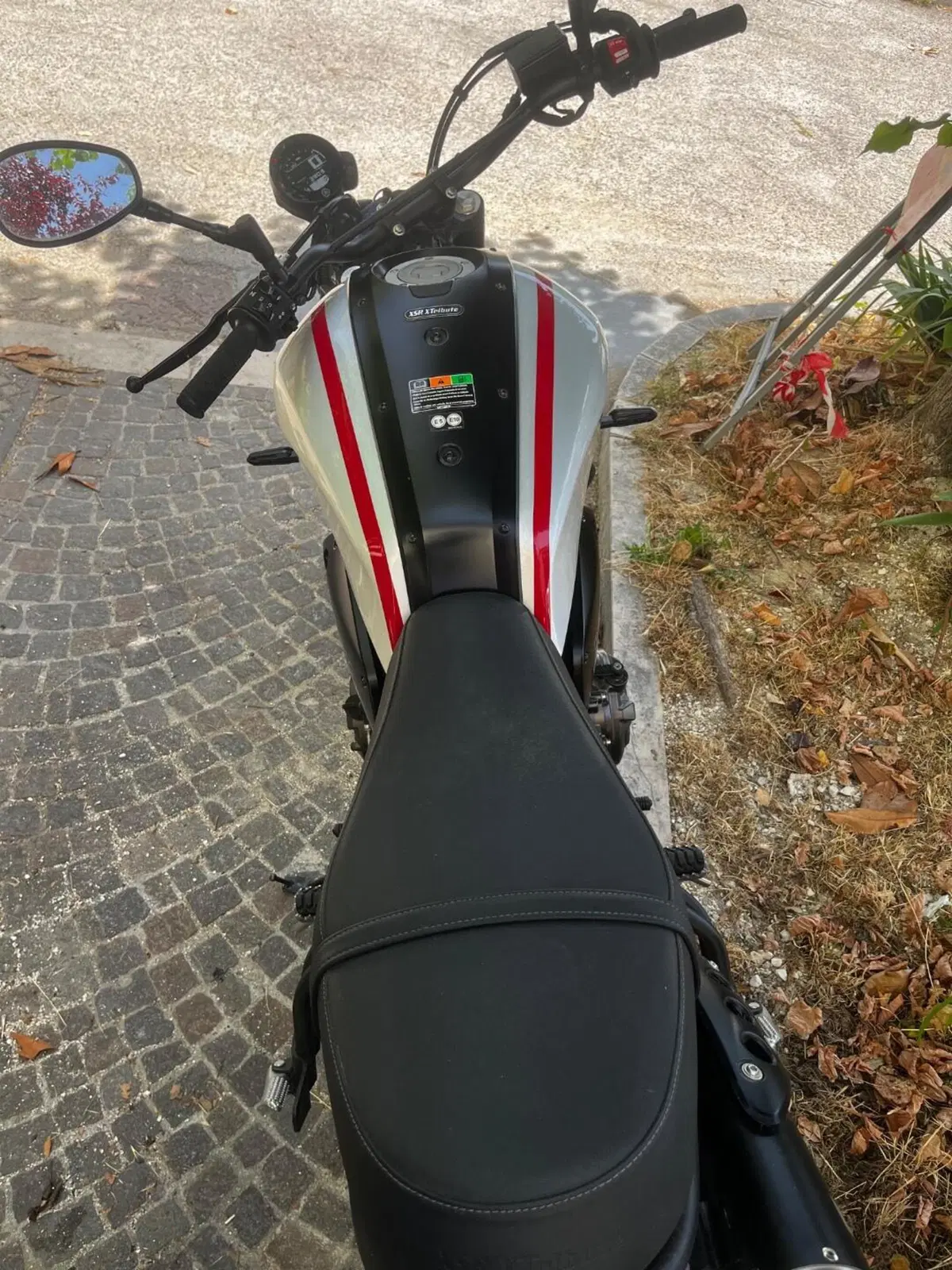 Yamaha XSR 700 XTribute (2022 - 24) (7)