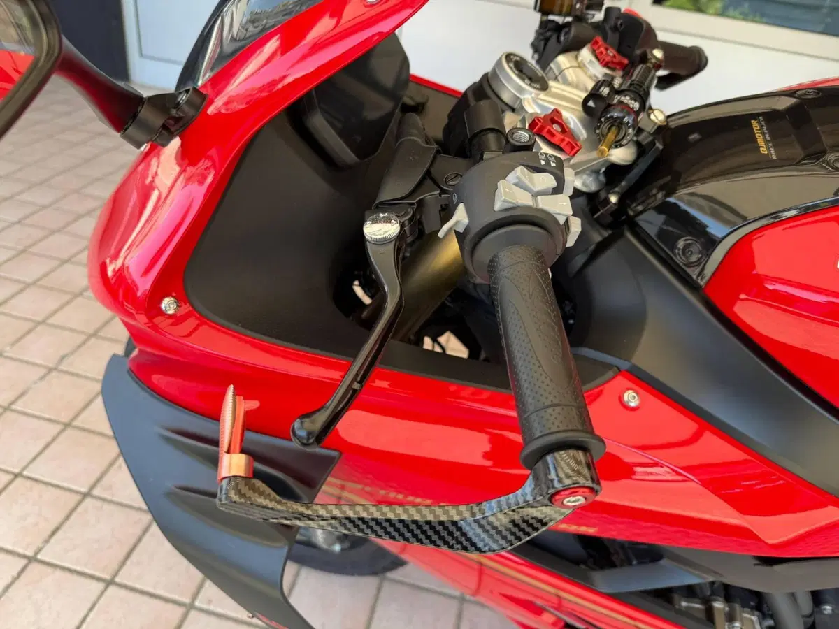 QJ Motor SRK 800 RR (2024) (7)