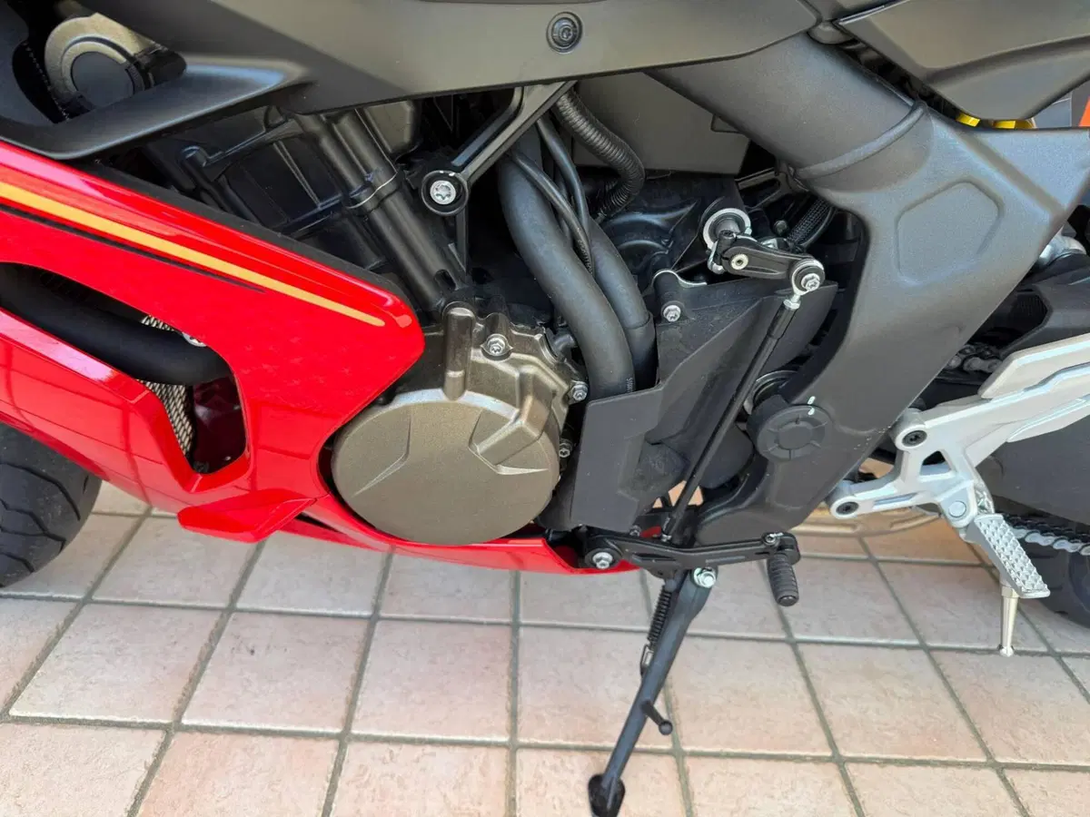 QJ Motor SRK 800 RR (2024) (13)