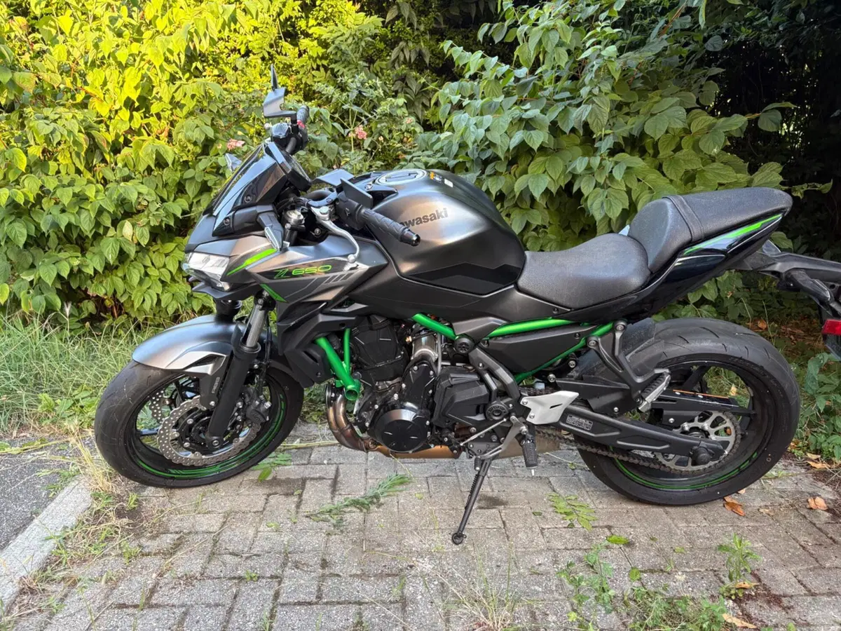 Kawasaki Z 650 (2021 - 24)