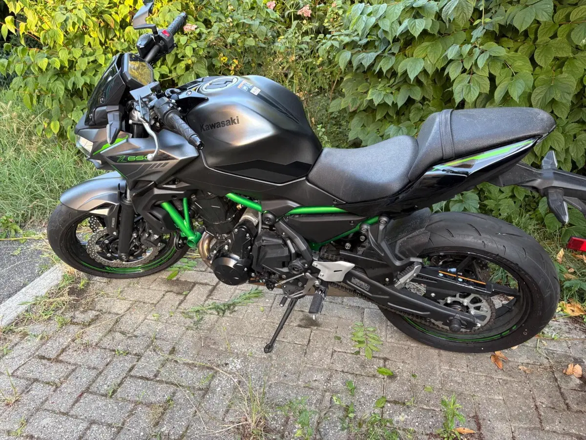 Kawasaki Z 650 (2021 - 24) (2)