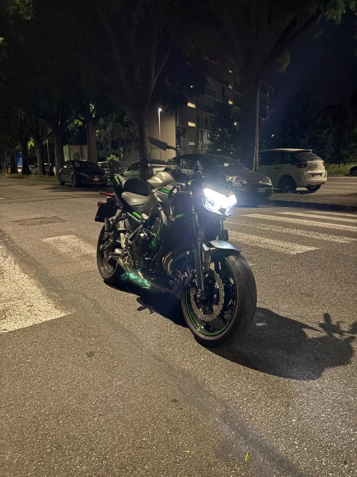 Kawasaki Z 650 (2021 - 24) (6)