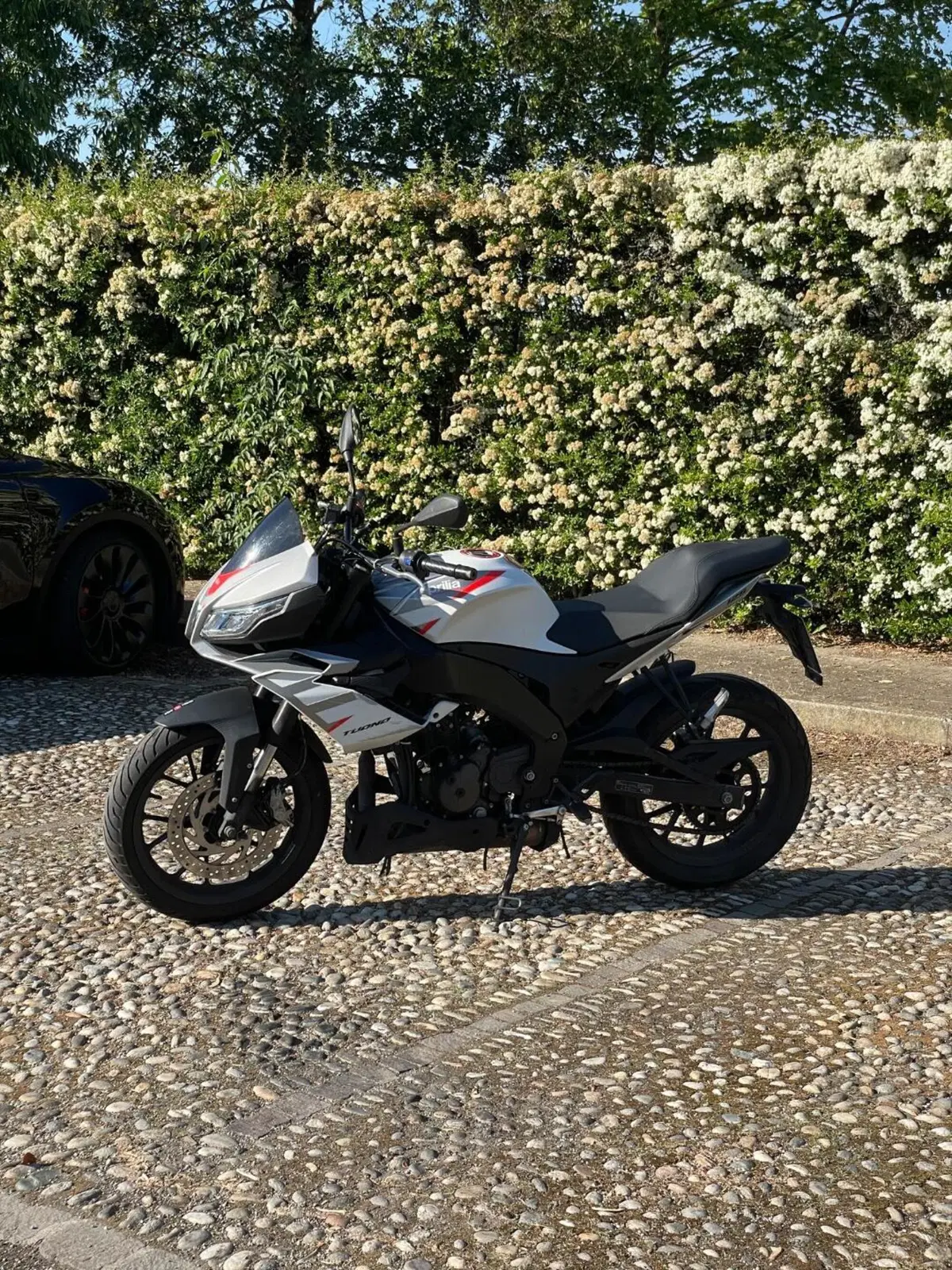 Aprilia Tuono 125 (2021 - 24) (2)