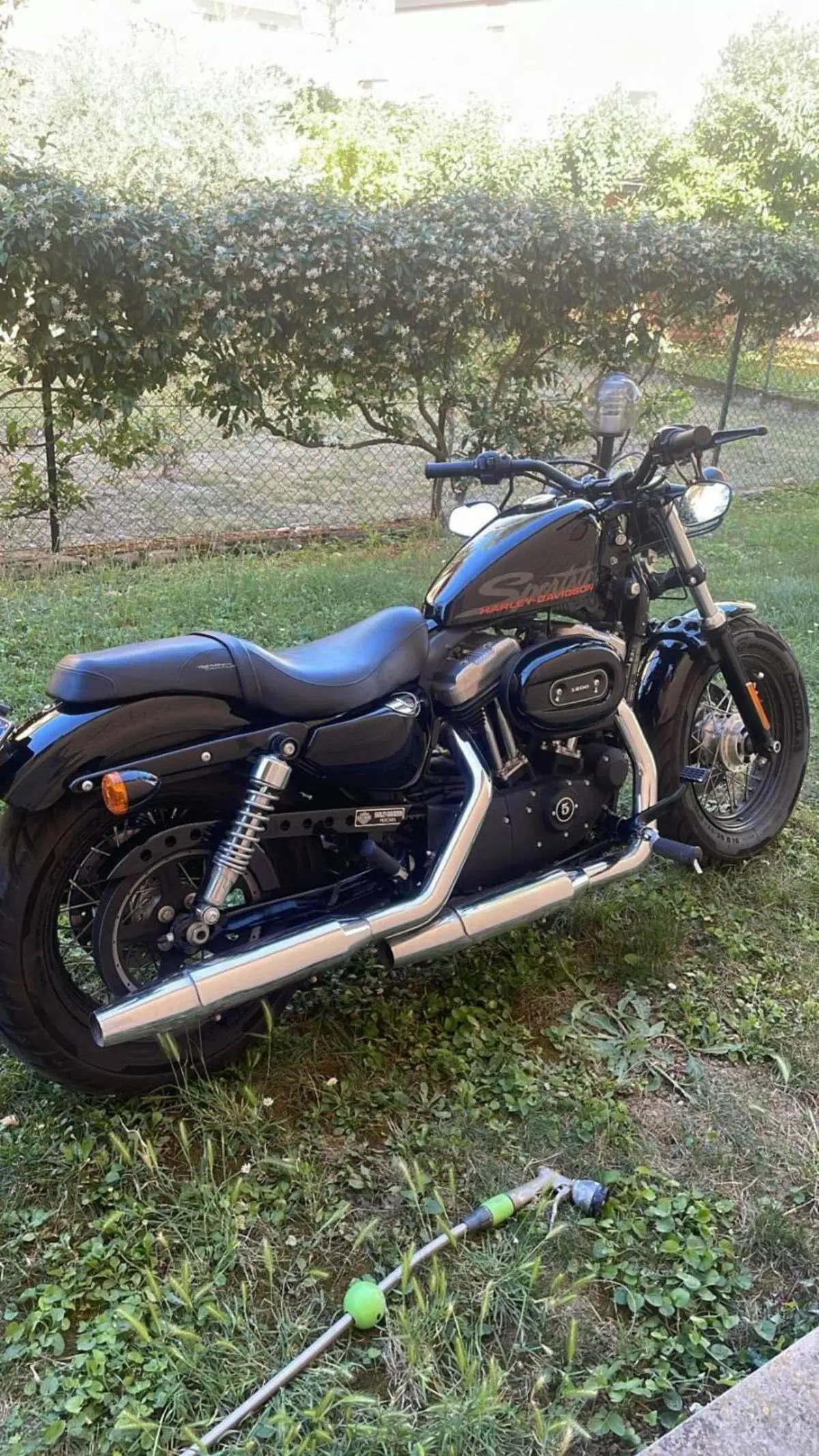 Harley-Davidson 1200 Forty-Eight (2010 - 15) (2)