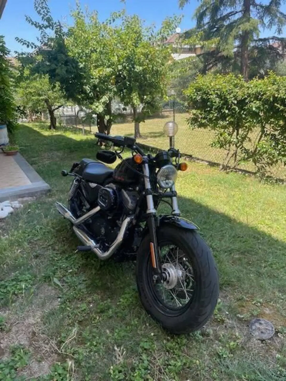 Harley-Davidson 1200 Forty-Eight (2010 - 15) (3)