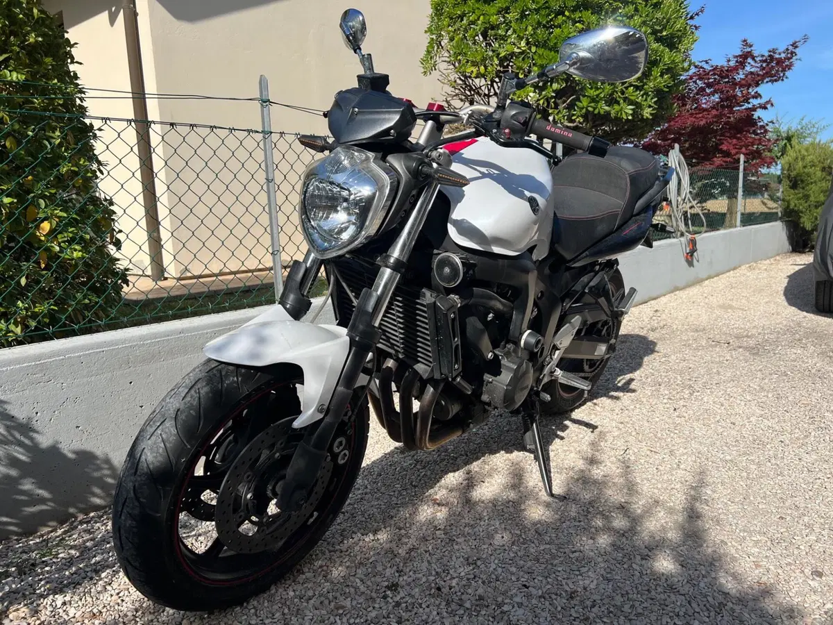 Yamaha FZ6 S2 (2007 - 11) (4)
