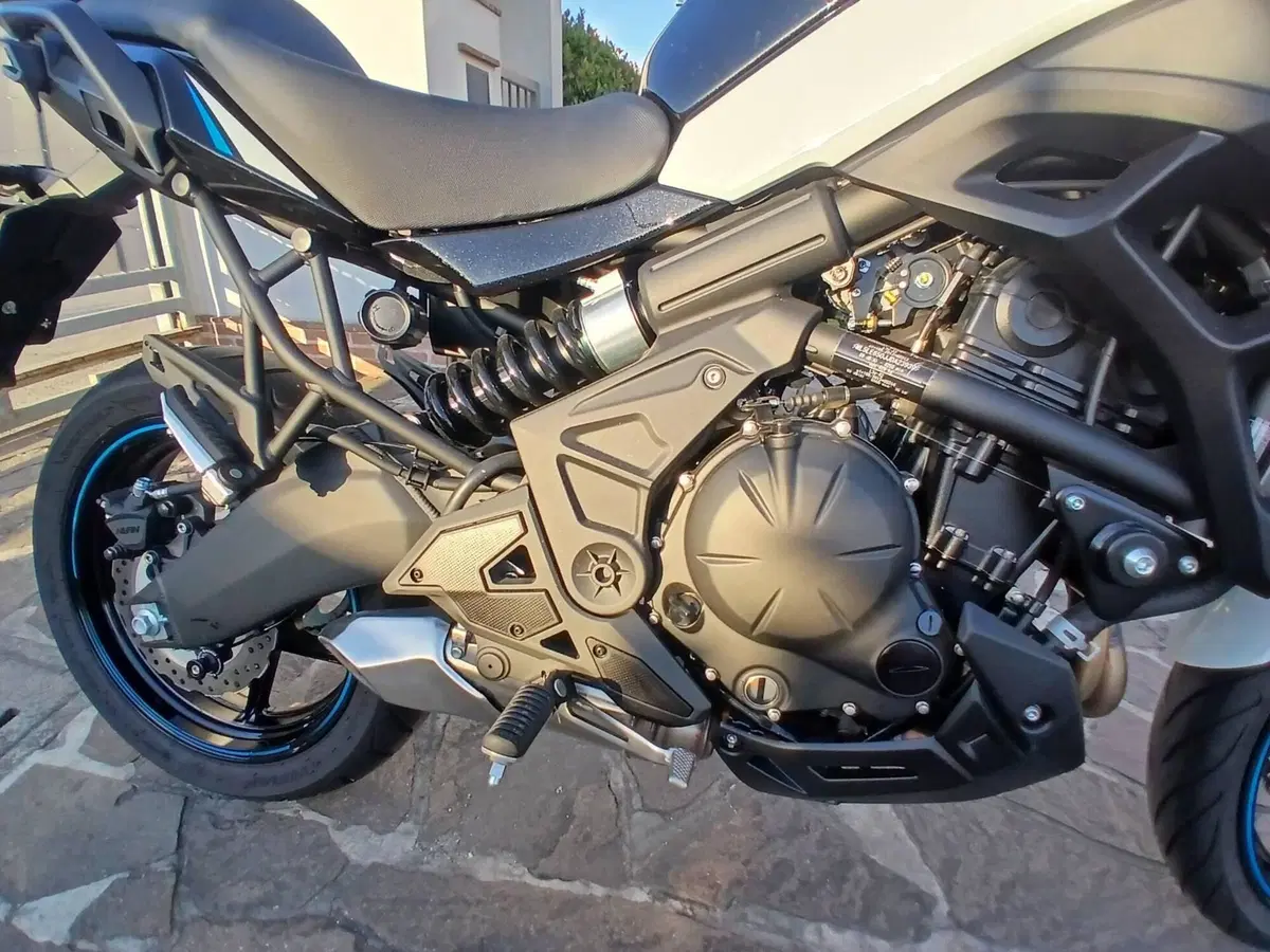Kawasaki Versys 650 (2025 - 26) (4)
