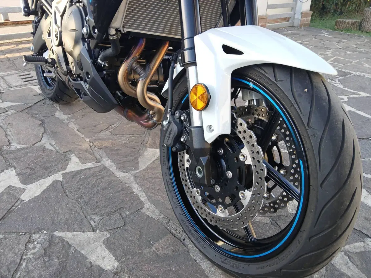 Kawasaki Versys 650 (2025 - 26) (5)