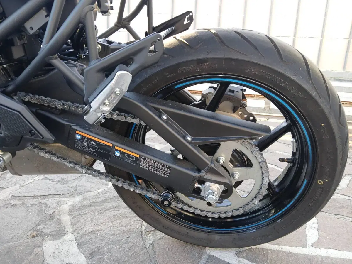 Kawasaki Versys 650 (2025 - 26) (6)