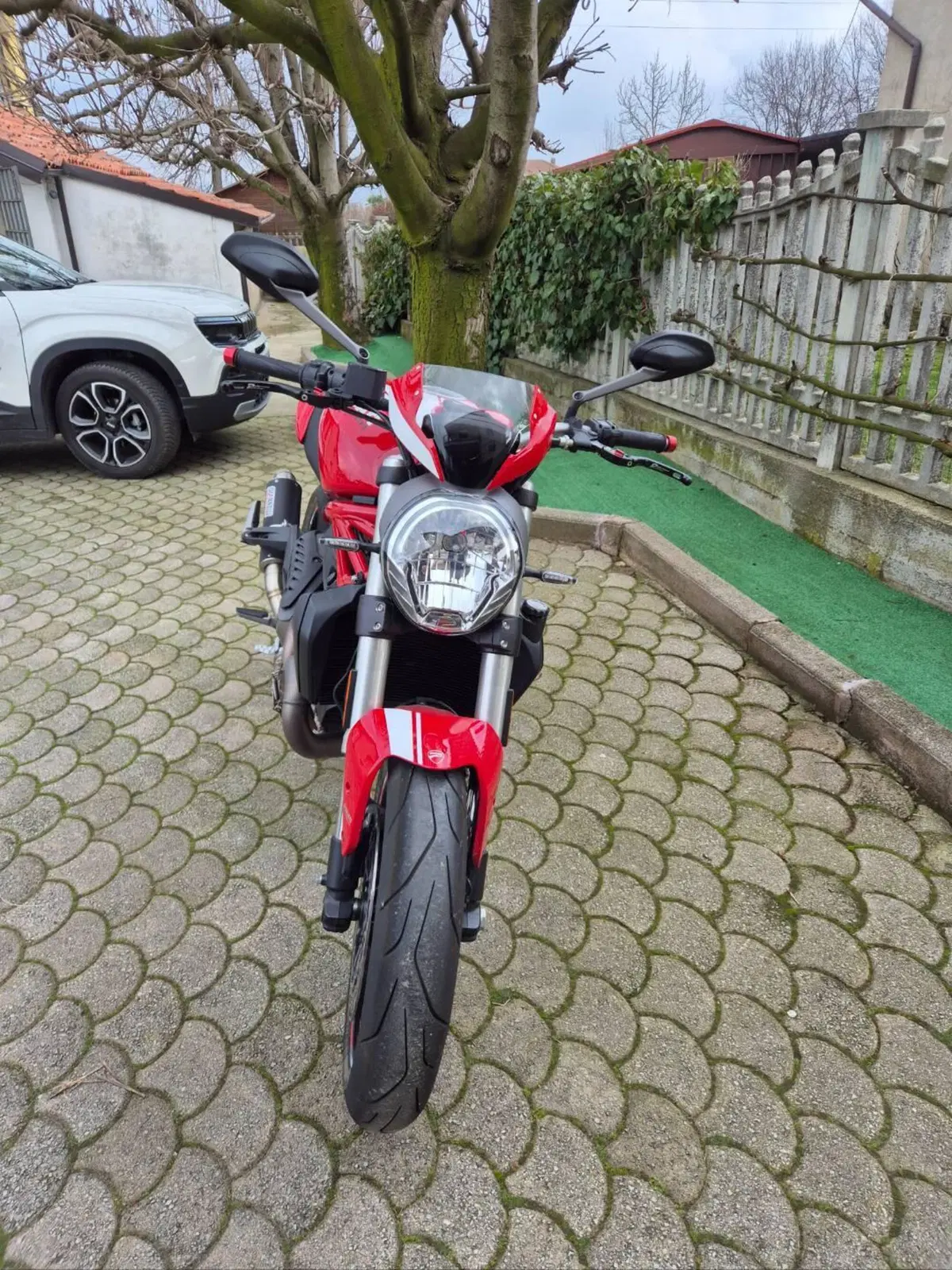 Ducati Monster 821 Stripe ABS (2015 - 17) (3)