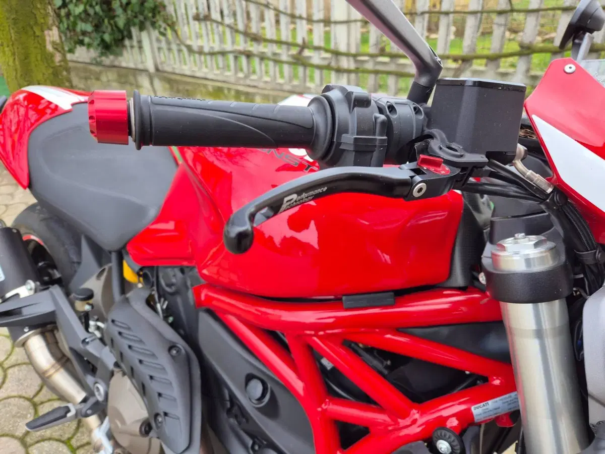 Ducati Monster 821 Stripe ABS (2015 - 17) (6)