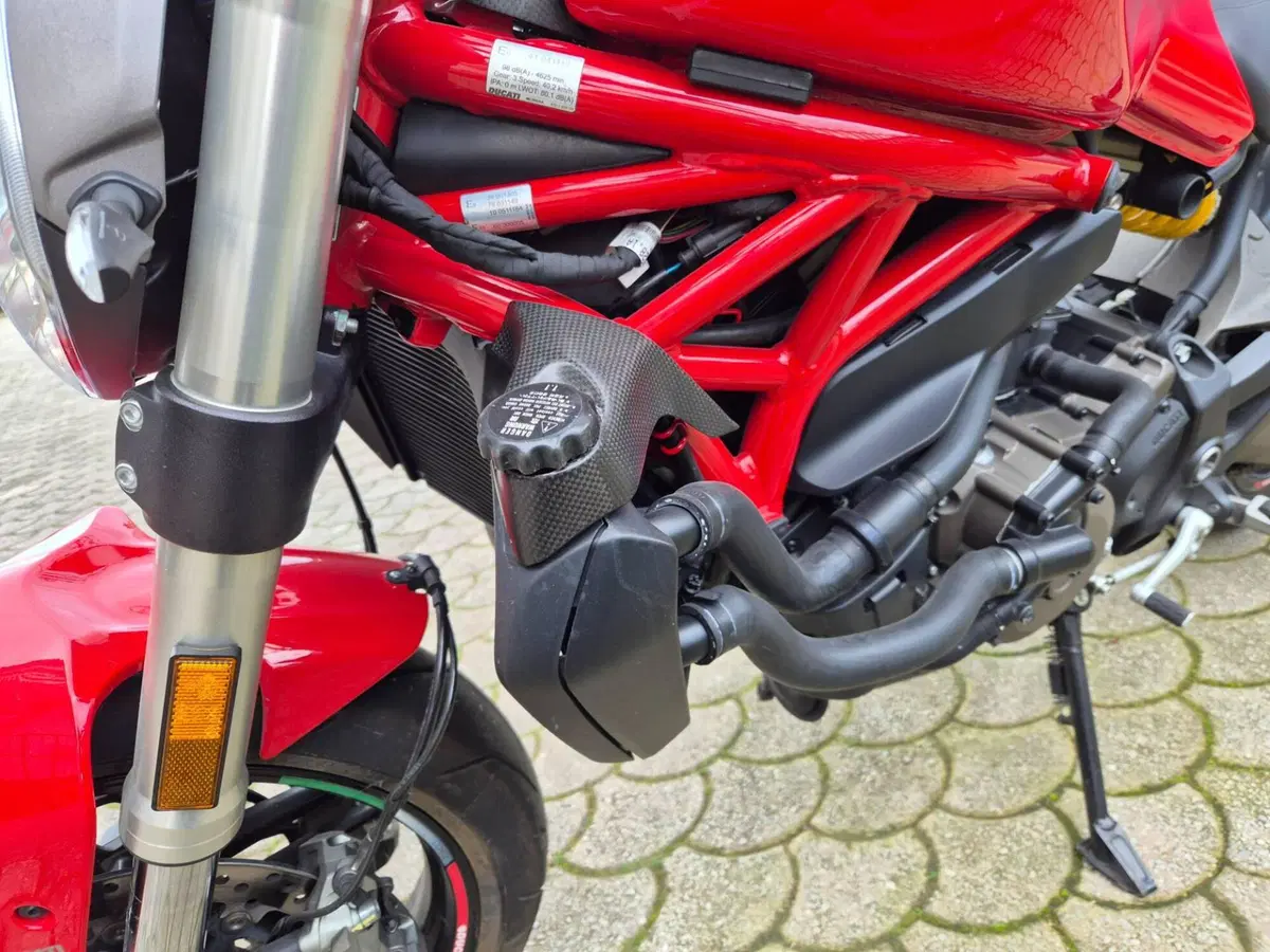 Ducati Monster 821 Stripe ABS (2015 - 17) (8)