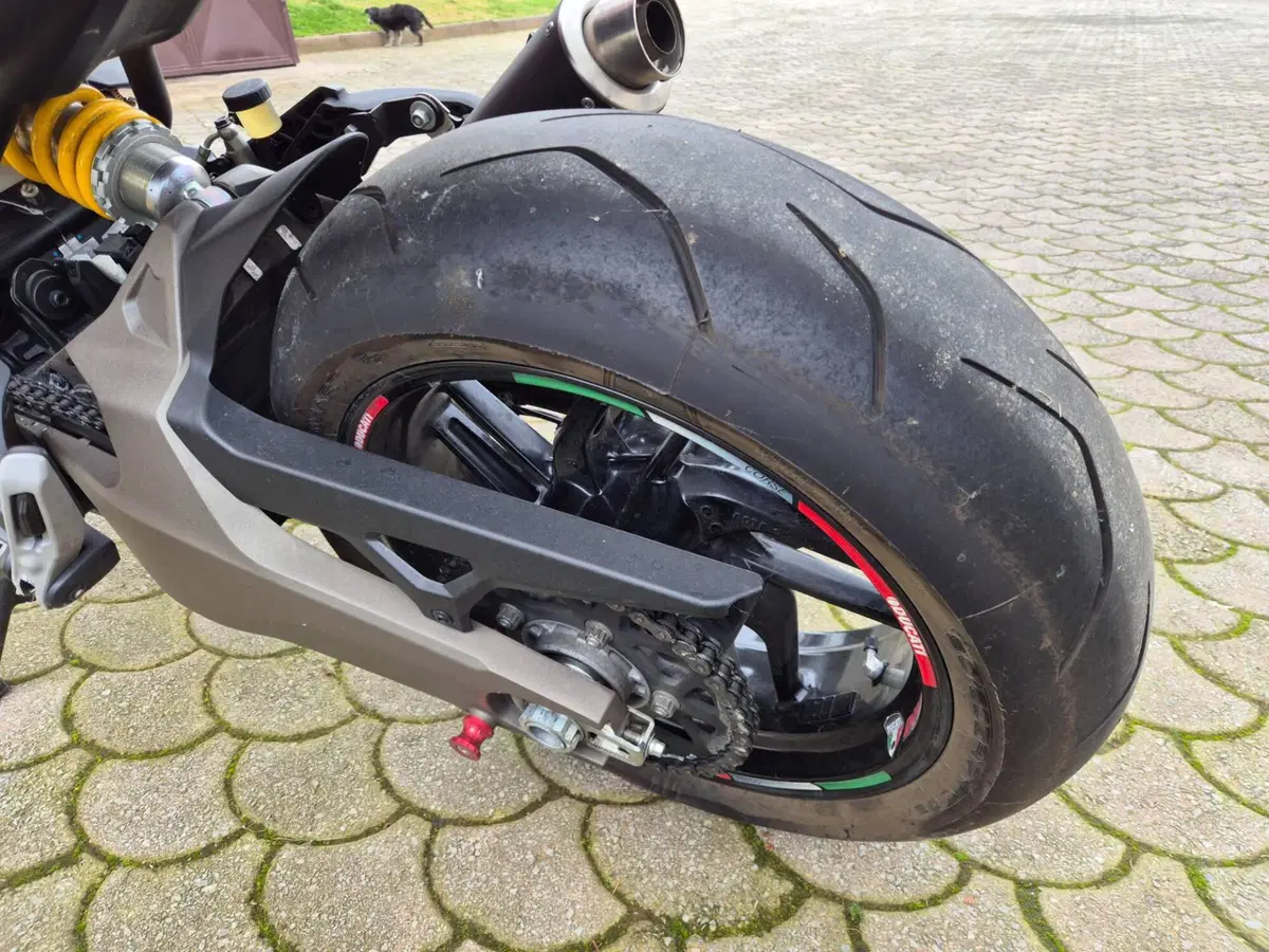 Ducati Monster 821 Stripe ABS (2015 - 17) (9)