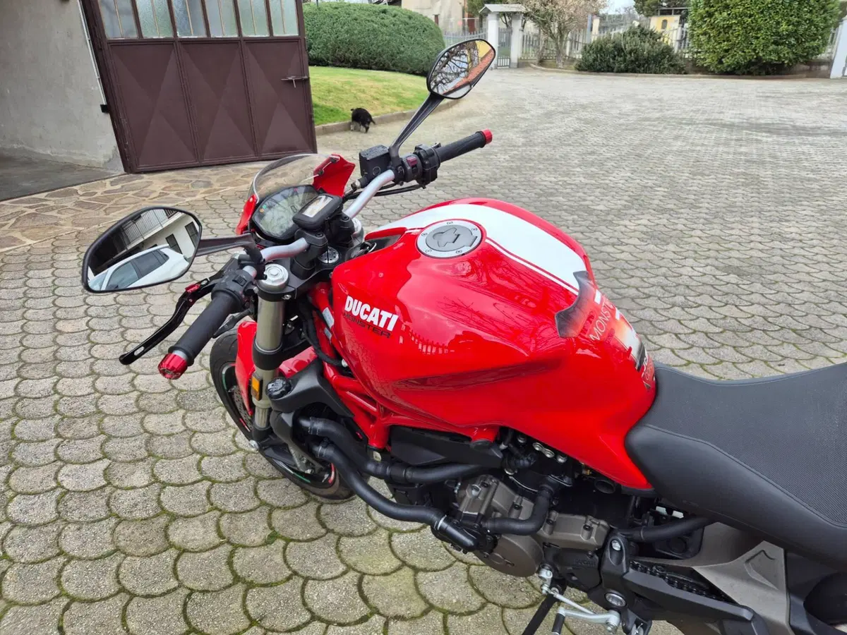 Ducati Monster 821 Stripe ABS (2015 - 17) (10)