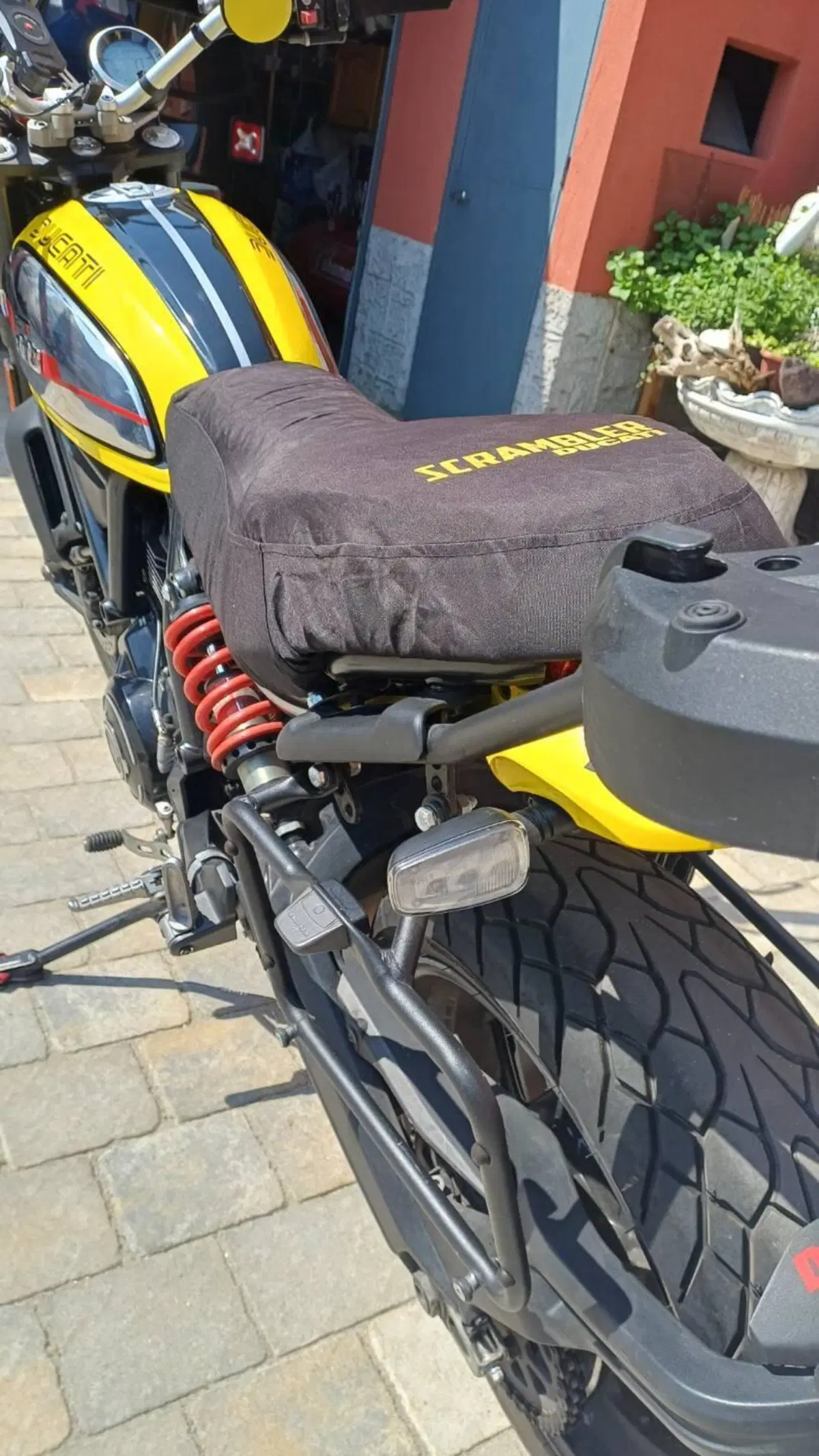Ducati Scrambler 800 Icon (2017 - 20) (9)