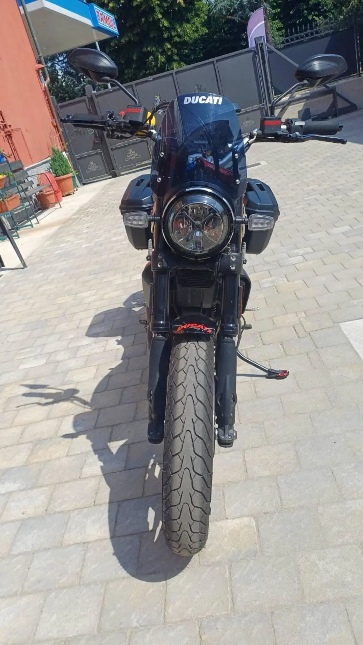 Ducati Scrambler 800 Icon (2017 - 20) (14)