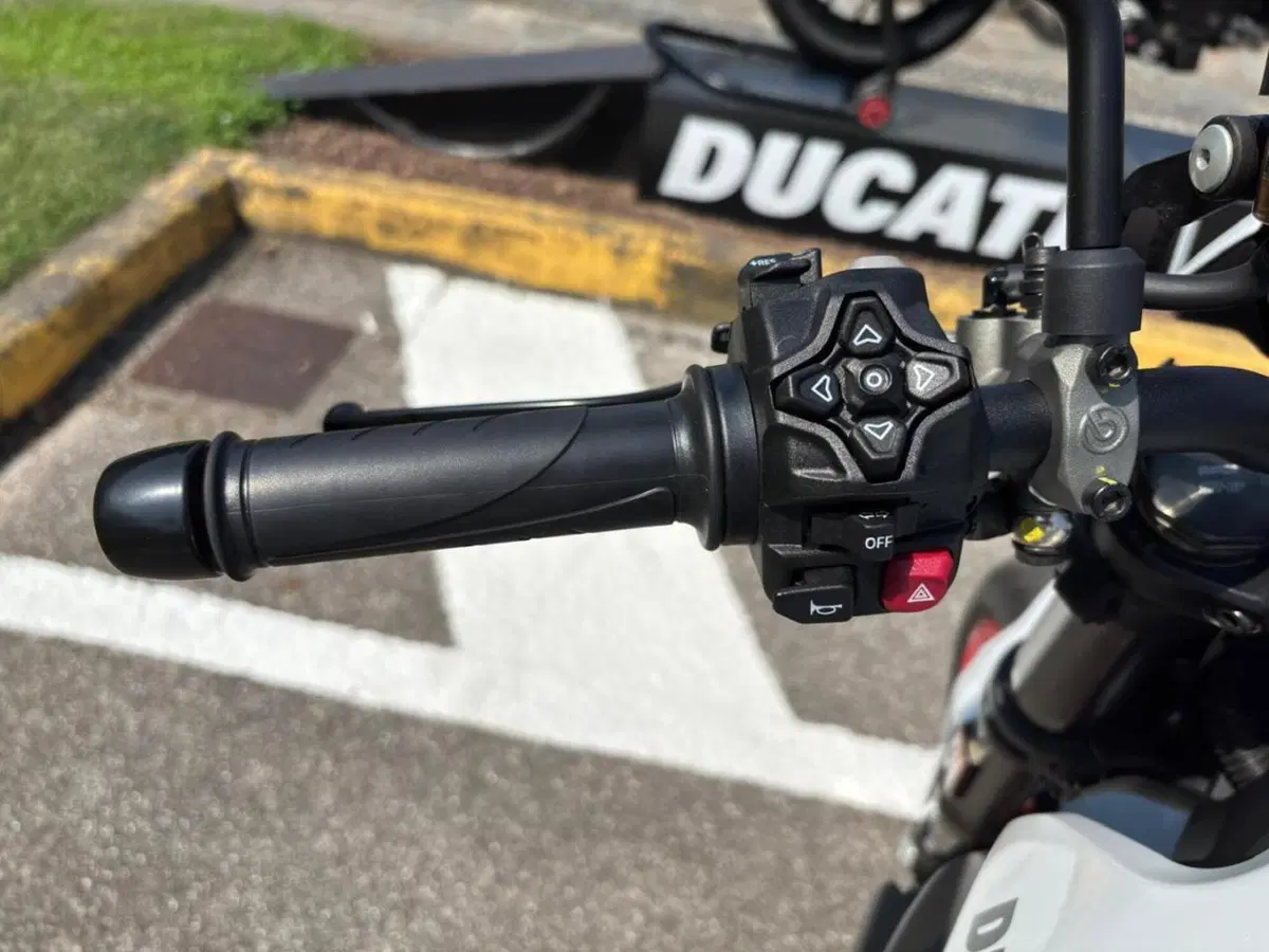 Ducati Monster 890 + (2026) (13)