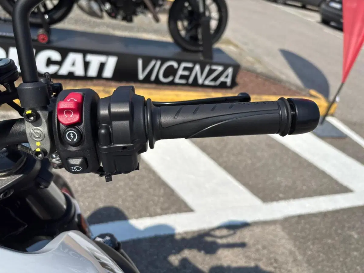 Ducati Monster 890 + (2026) (14)
