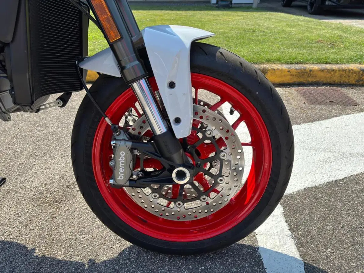 Ducati Monster 890 + (2026) (3)