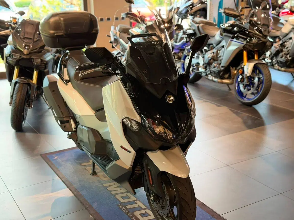 Sym Maxsym TL 508 (2021 - 24) (3)