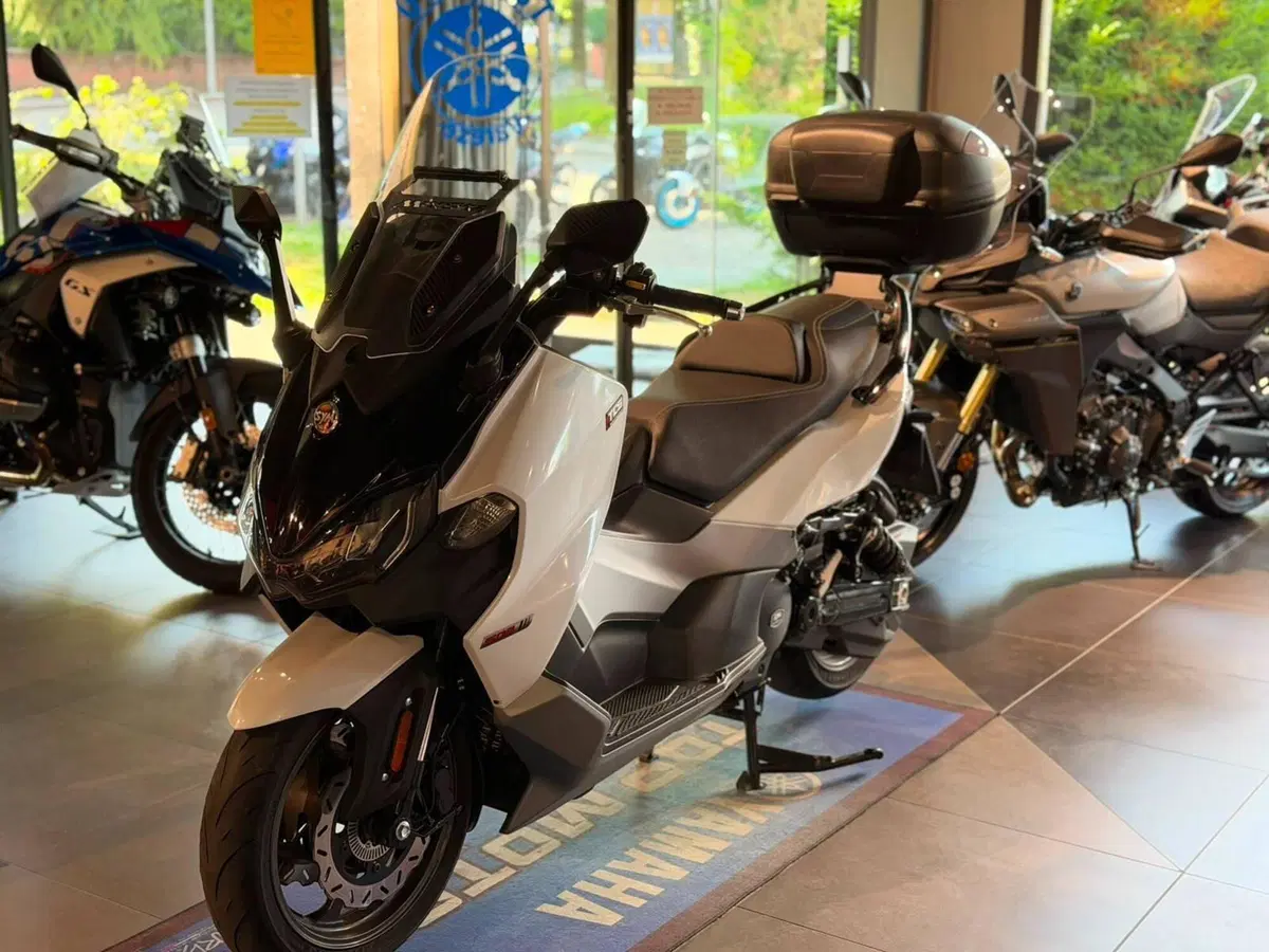 Sym Maxsym TL 508 (2021 - 24) (5)