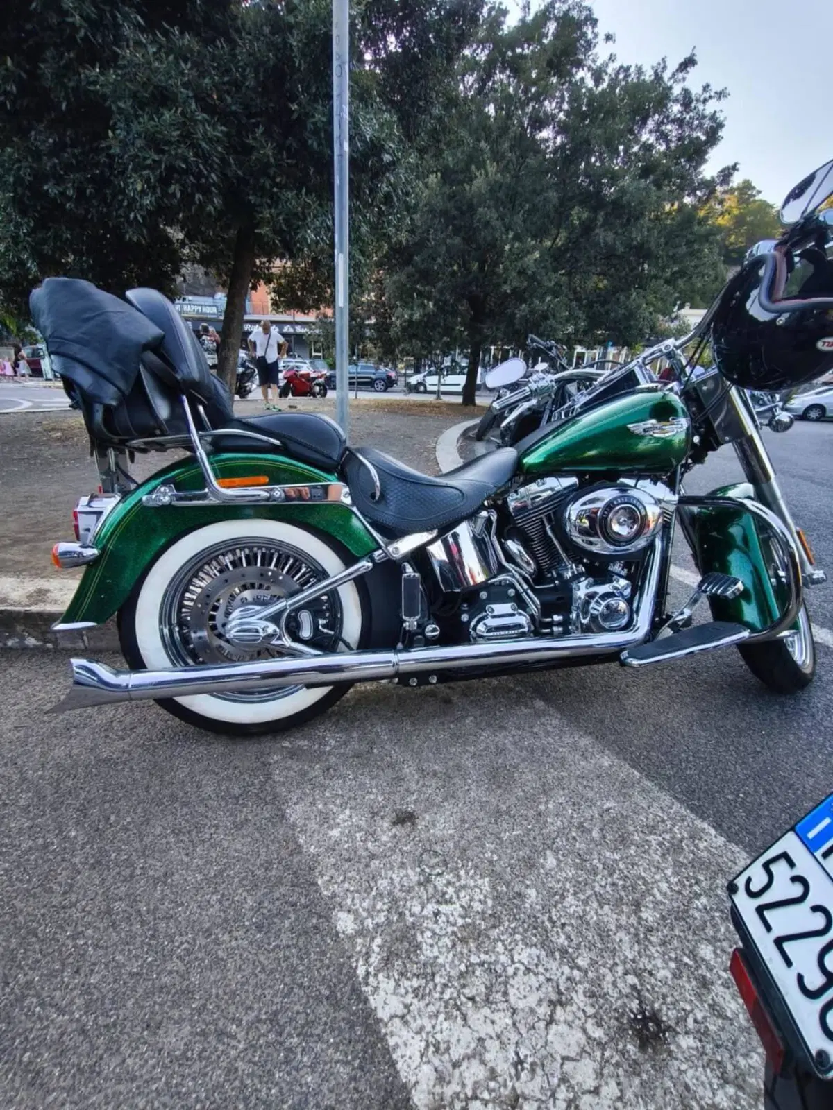 Harley-Davidson 1690 Deluxe ABS (2011 - 16) - FLSTN (3)
