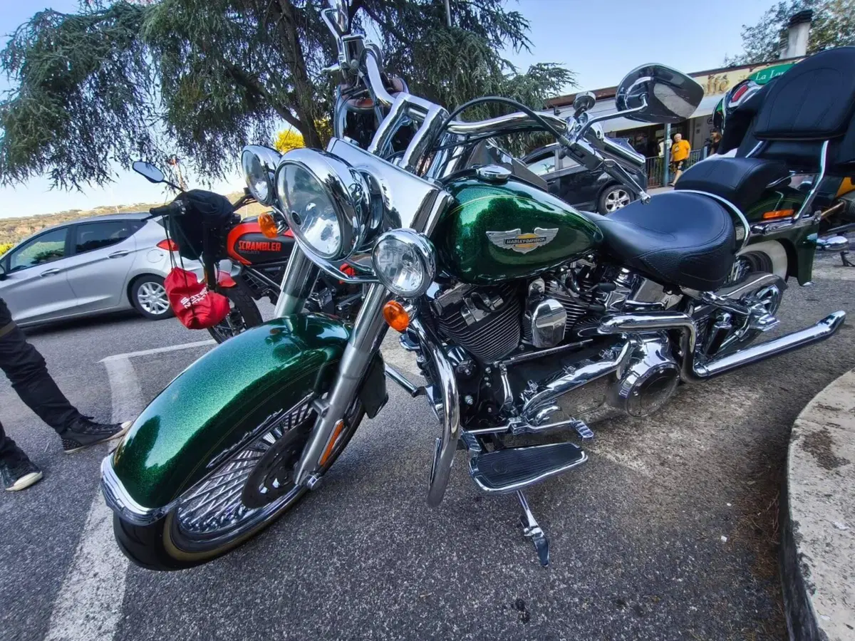 Harley-Davidson 1690 Deluxe ABS (2011 - 16) - FLSTN (4)