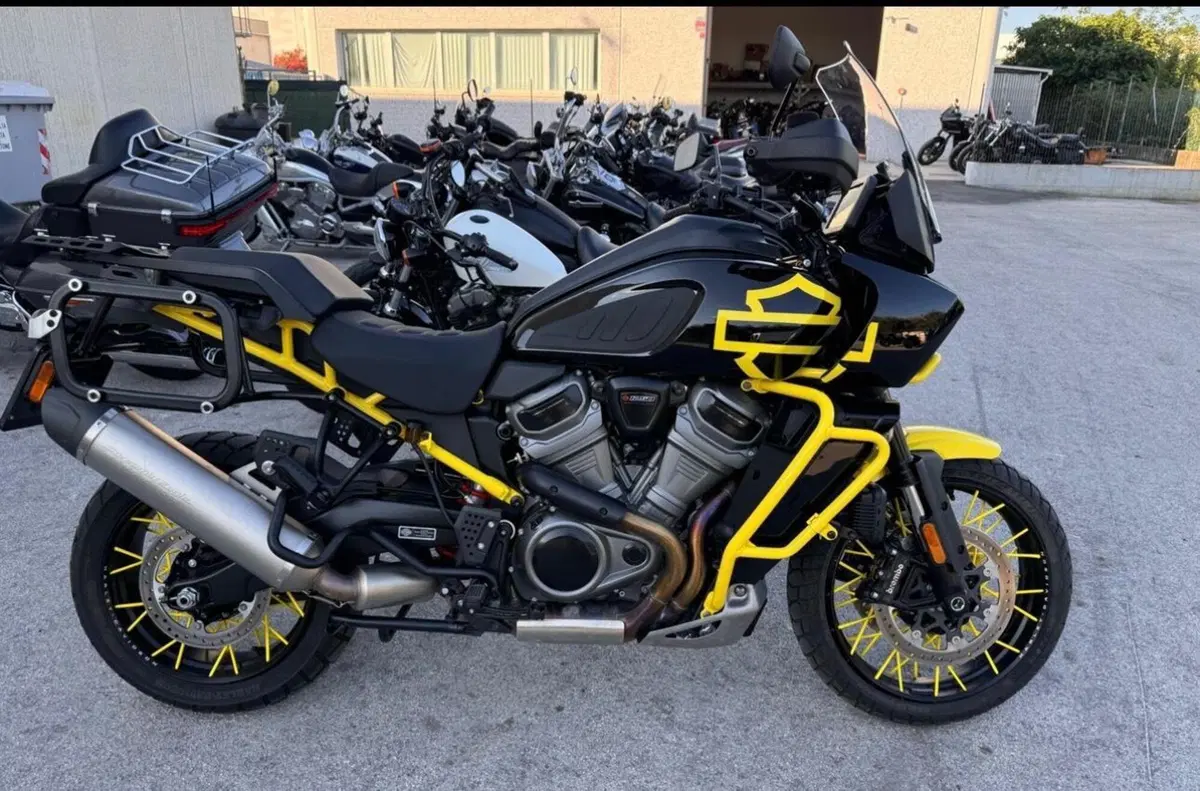 Harley-Davidson Pan America 1250 Special (2020 - 25)