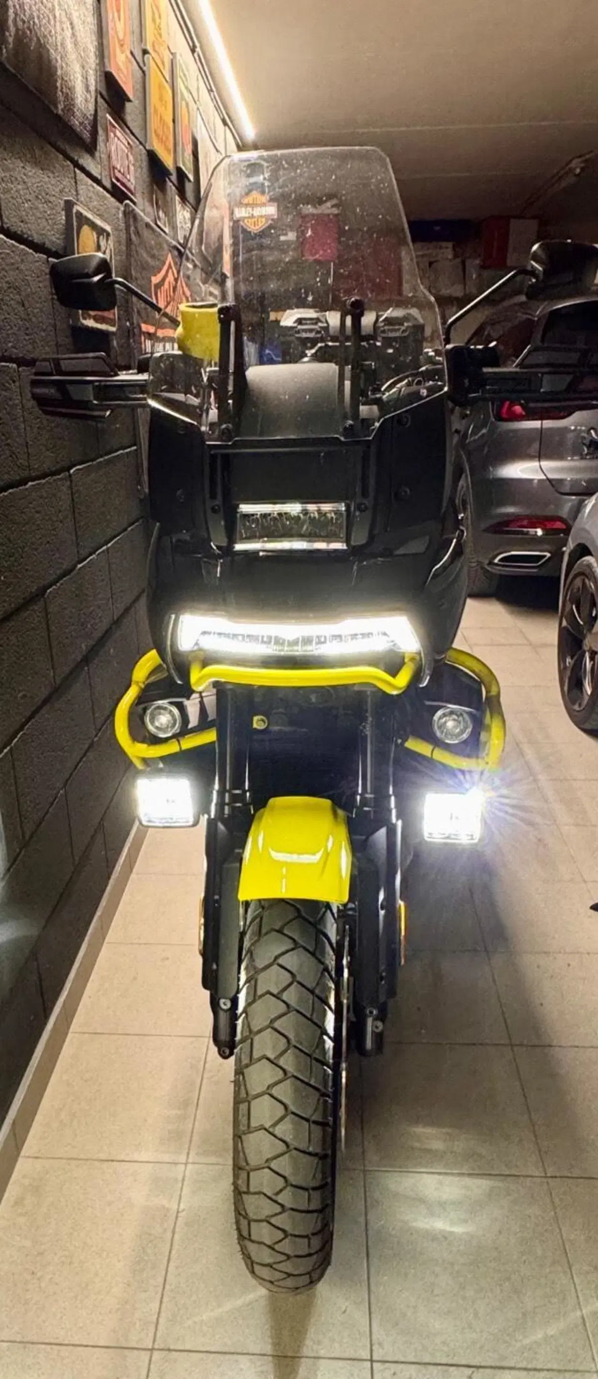 Harley-Davidson Pan America 1250 Special (2020 - 25) (3)