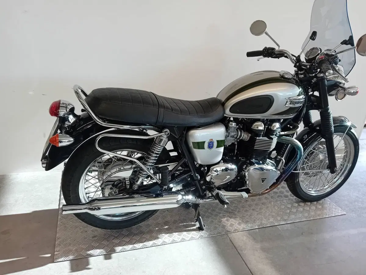 Triumph Bonneville T100 (2008 - 16) (6)