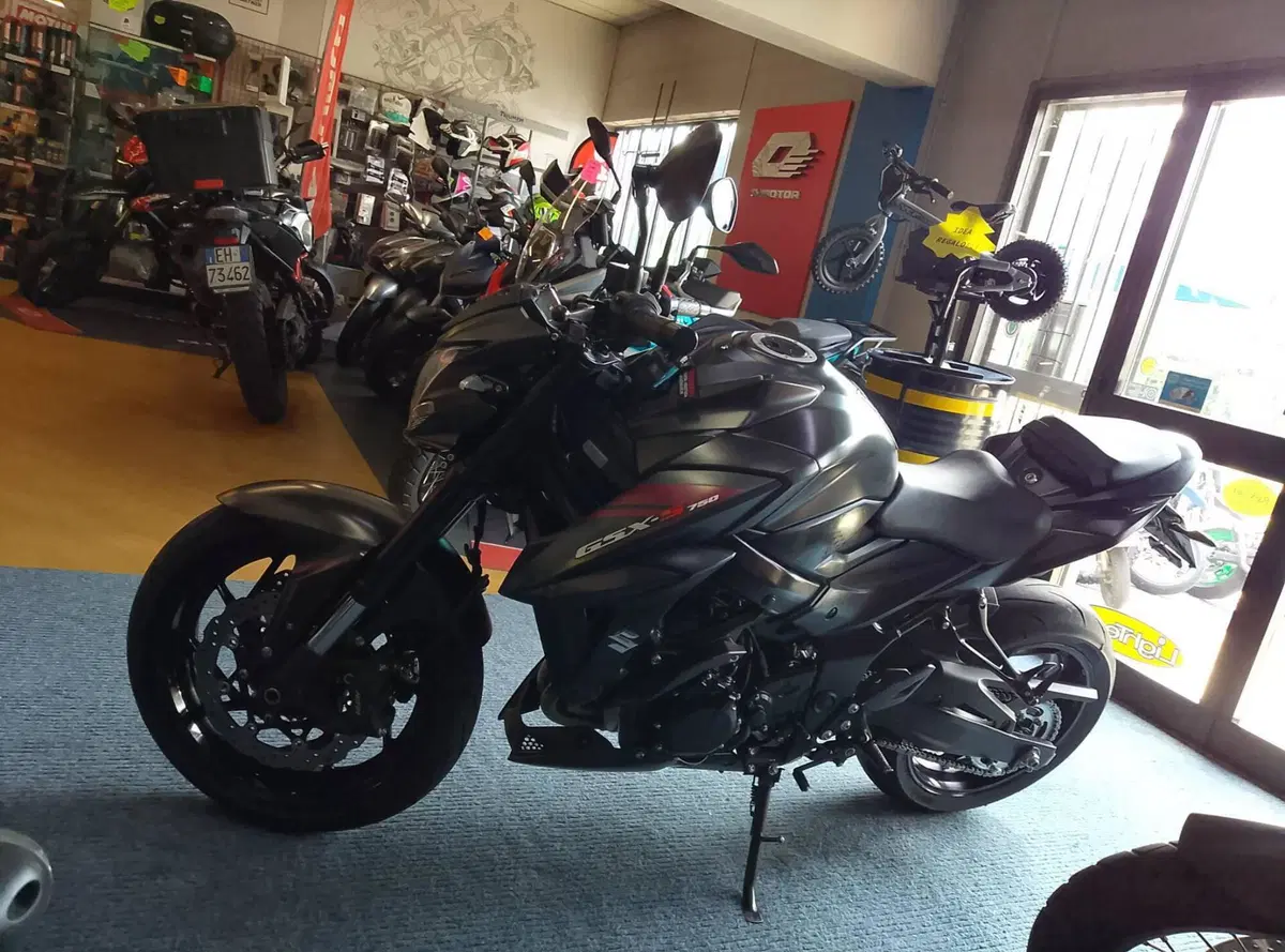 Suzuki GSX R 750 (2011 - 17) (4)