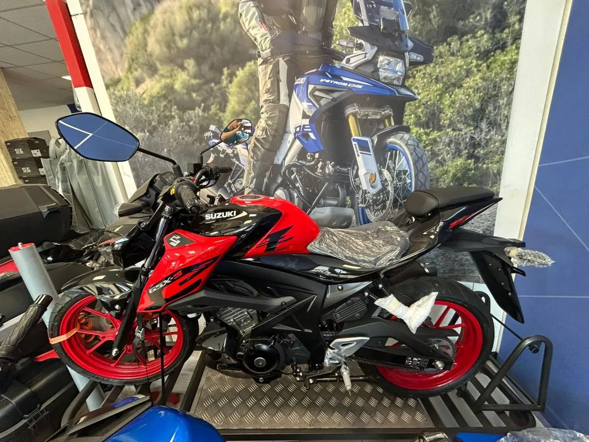 Suzuki GSX-S125 (2025 - 26)