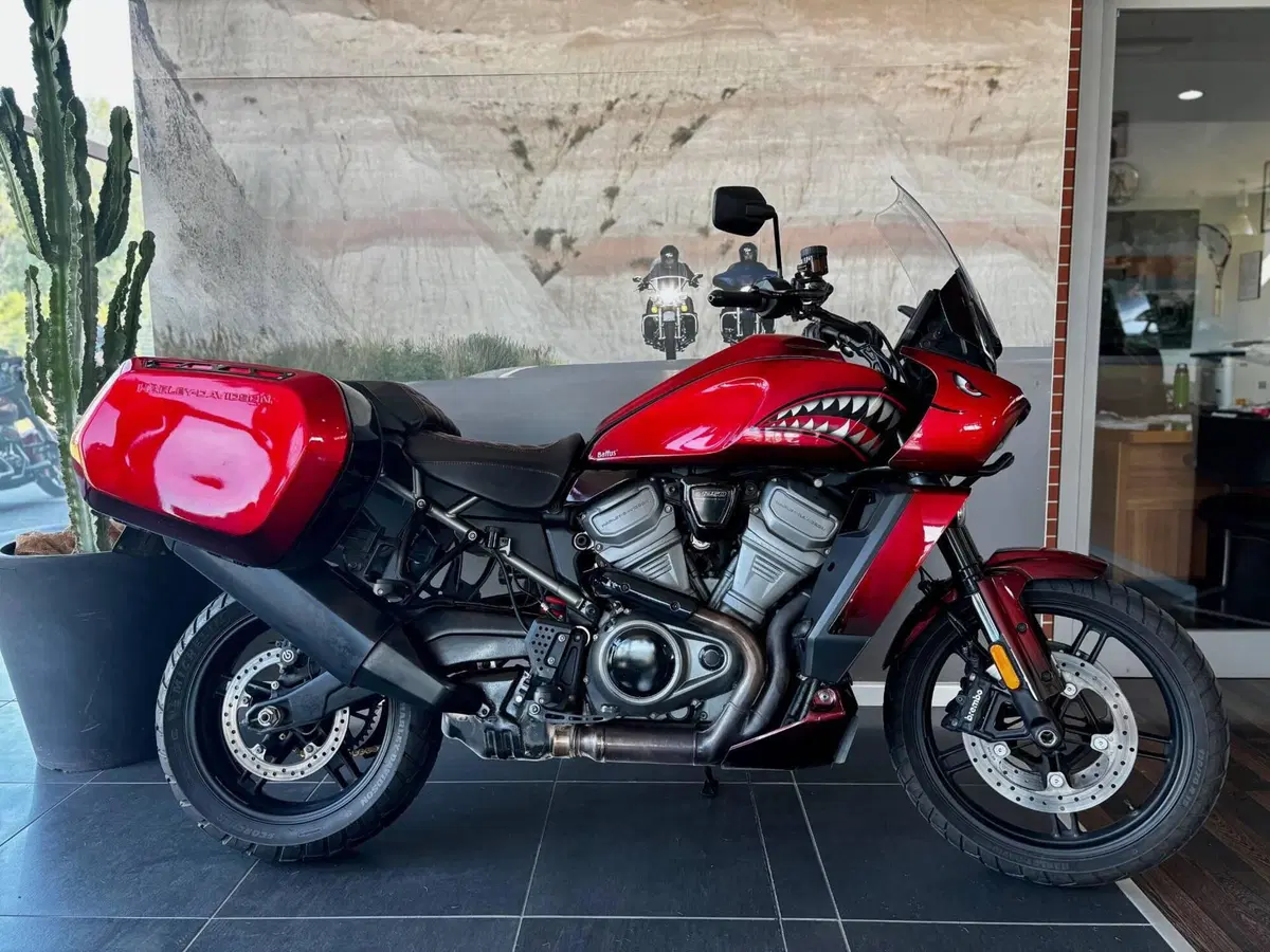 Harley-Davidson Pan America 1250 (2020 - 25)