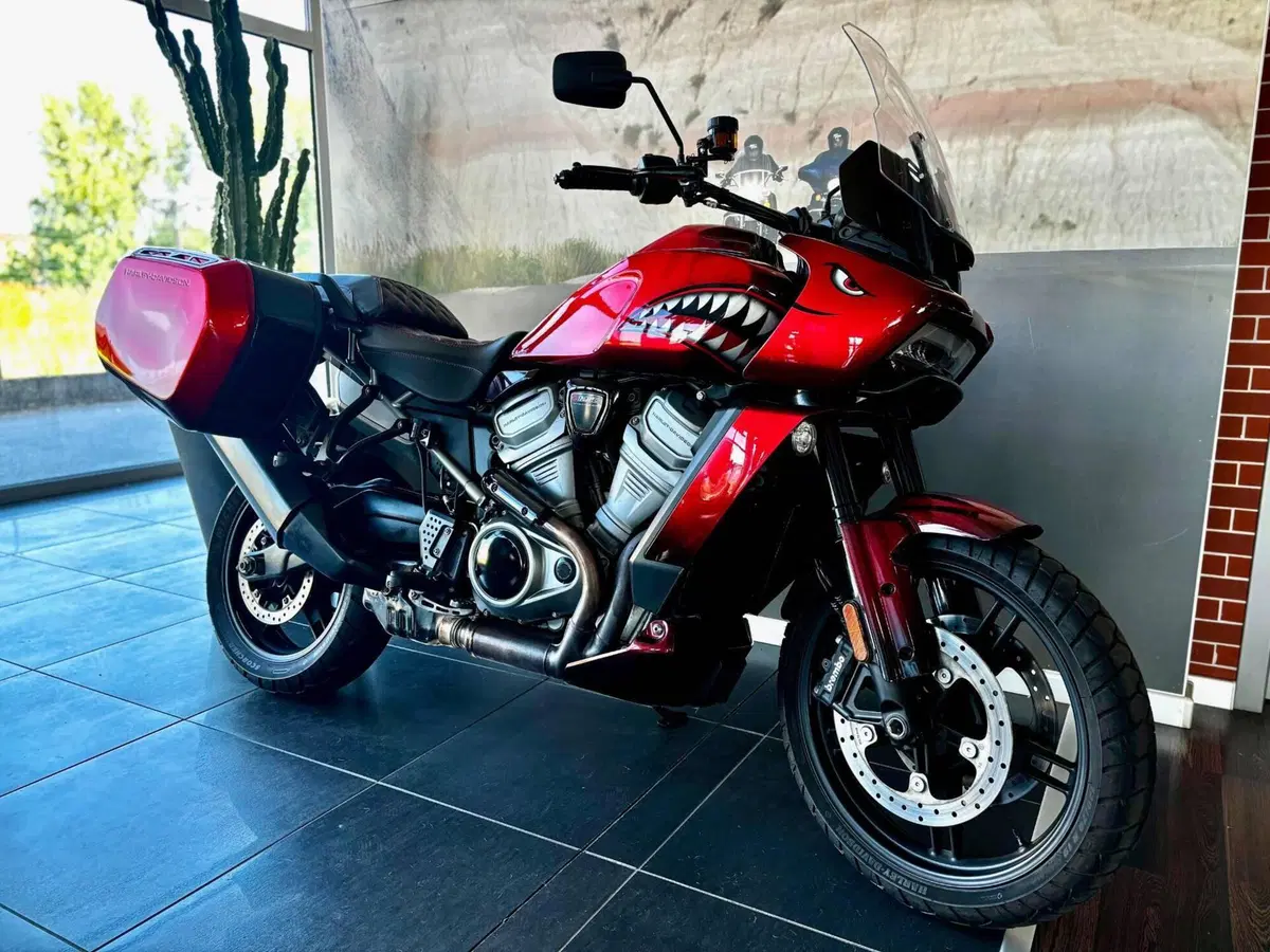 Harley-Davidson Pan America 1250 (2020 - 25) (2)