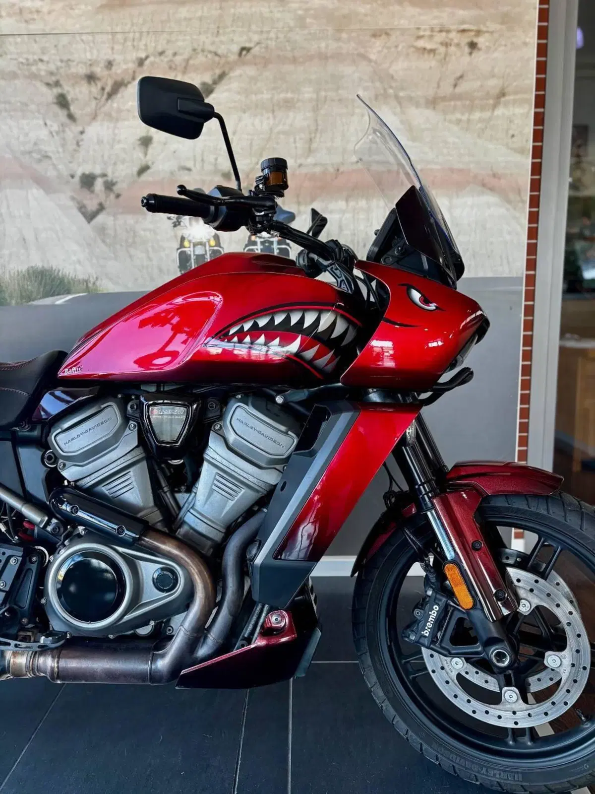 Harley-Davidson Pan America 1250 (2020 - 25) (3)