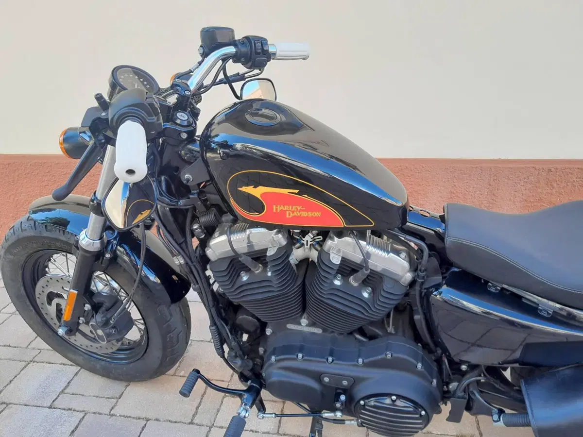Harley-Davidson 1200 Forty-Eight (2010 - 15) (2)