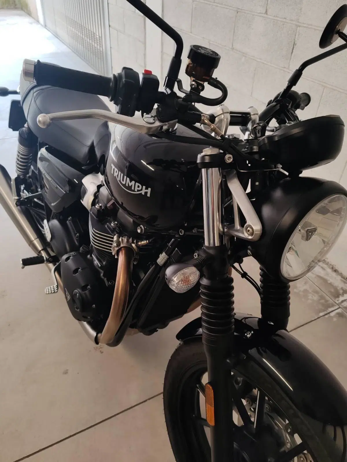 Triumph Speed Twin 900 (2023 - 24) (3)
