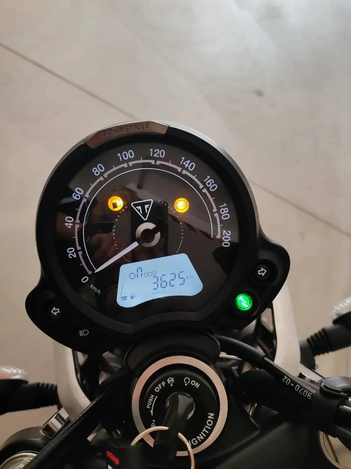 Triumph Speed Twin 900 (2023 - 24) (8)