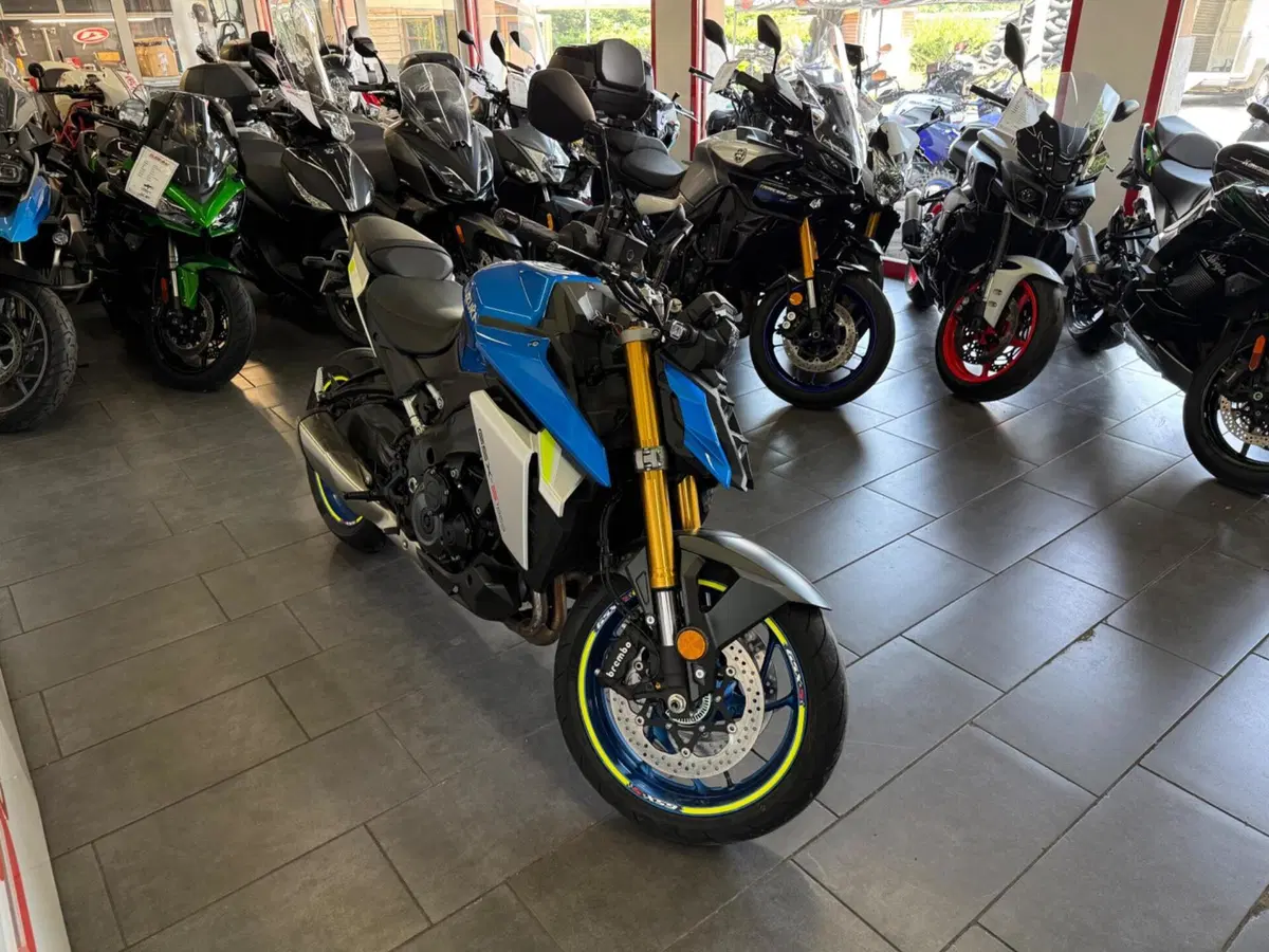Suzuki GSX-S1000 (2021 - 25) (6)
