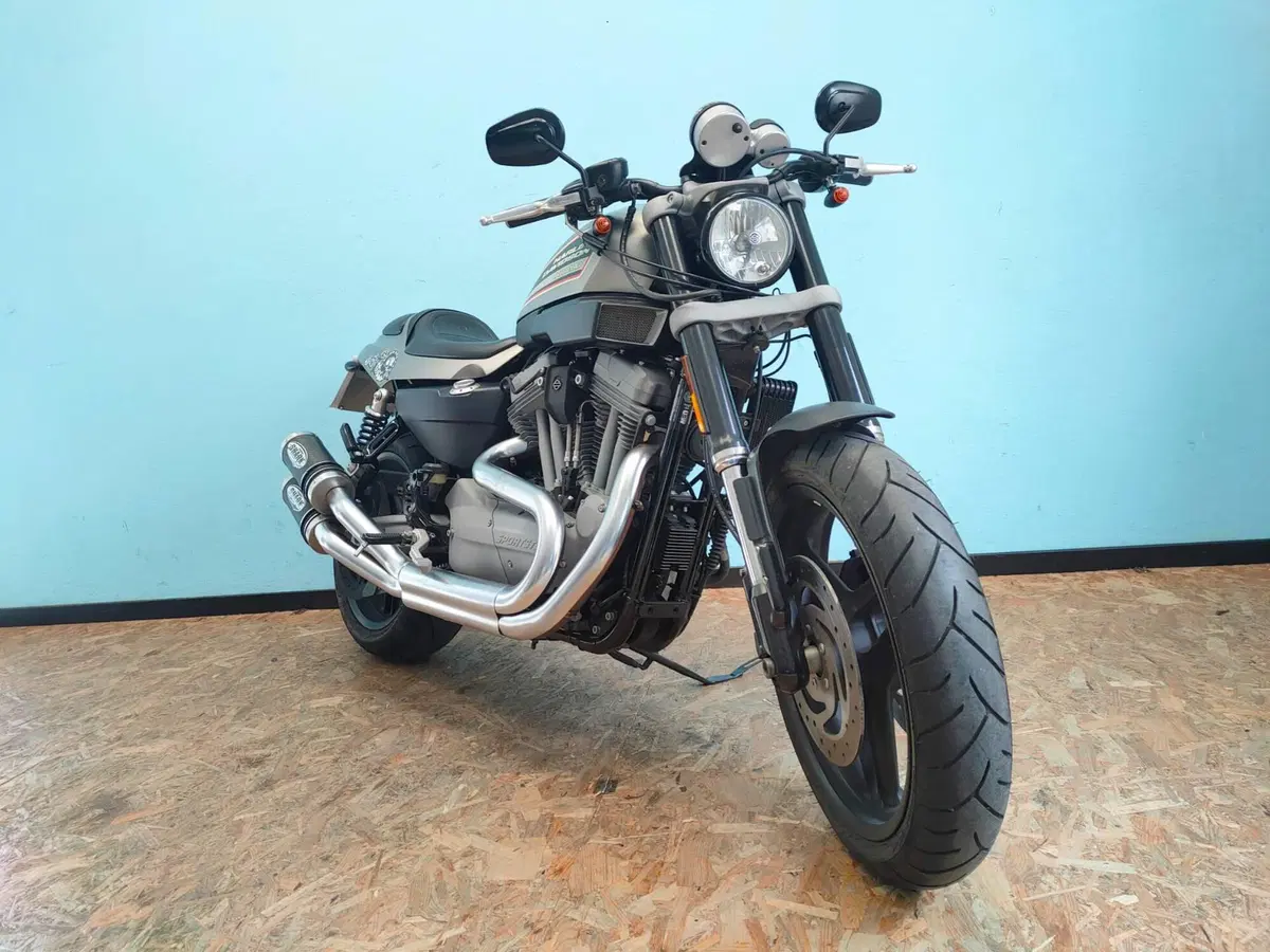 Harley-Davidson 1200 XR (2009 - 12) (2)