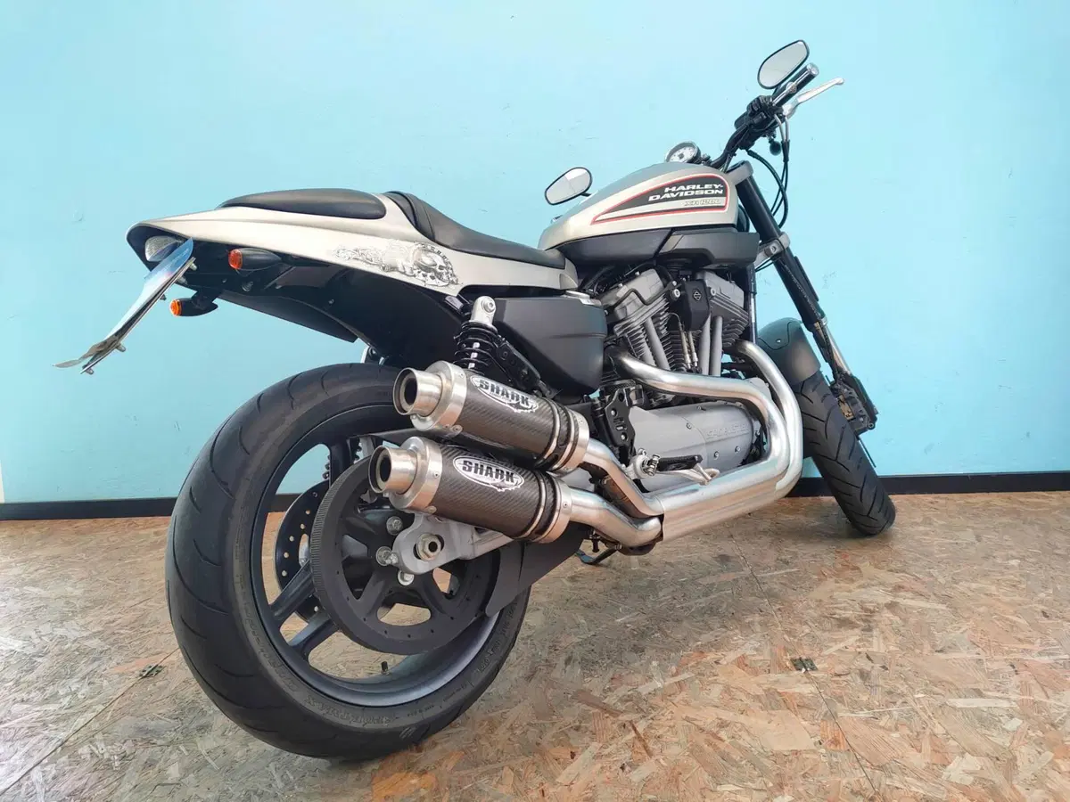 Harley-Davidson 1200 XR (2009 - 12) (6)