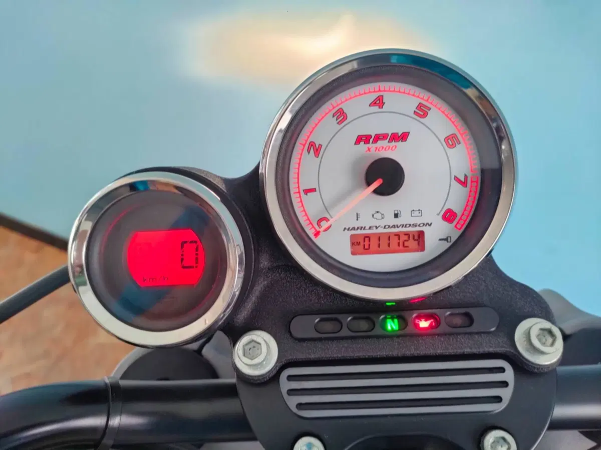 Harley-Davidson 1200 XR (2009 - 12) (7)