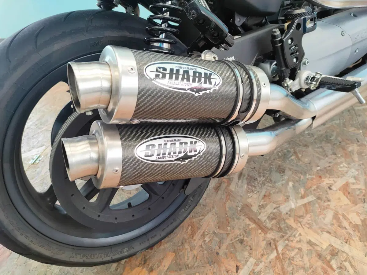 Harley-Davidson 1200 XR (2009 - 12) (8)