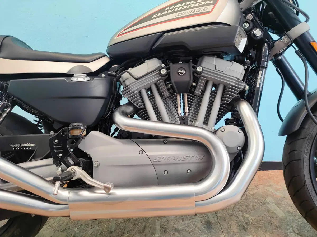 Harley-Davidson 1200 XR (2009 - 12) (9)
