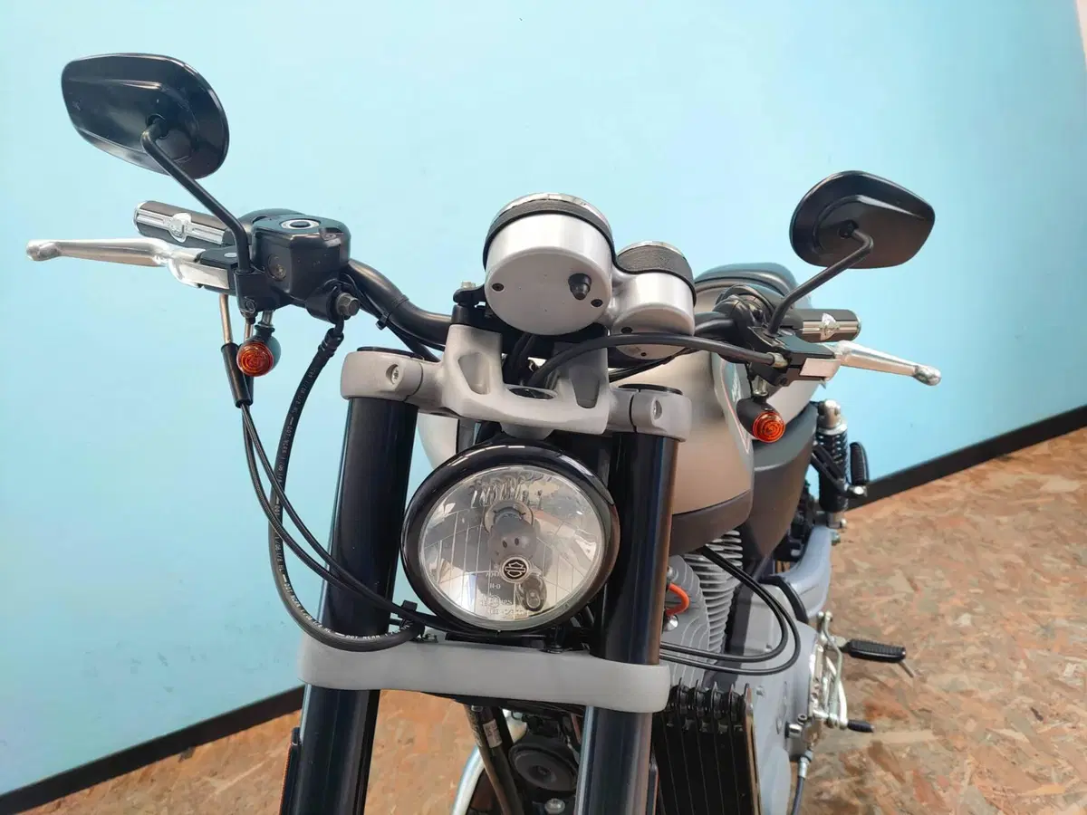 Harley-Davidson 1200 XR (2009 - 12) (11)
