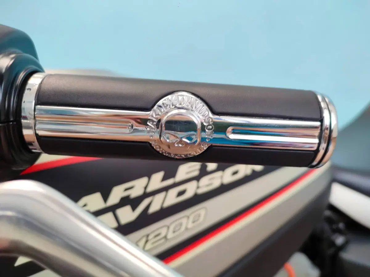 Harley-Davidson 1200 XR (2009 - 12) (13)